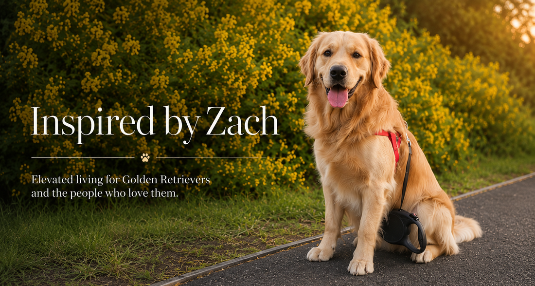 Meet Zach — The Heart Behind House of Zach