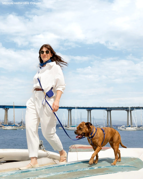 4-In-1 Convertible Hands Free Cloud Dog Leash, 8.5-Ft Long, 5/8” Wide or 3/4” Wide