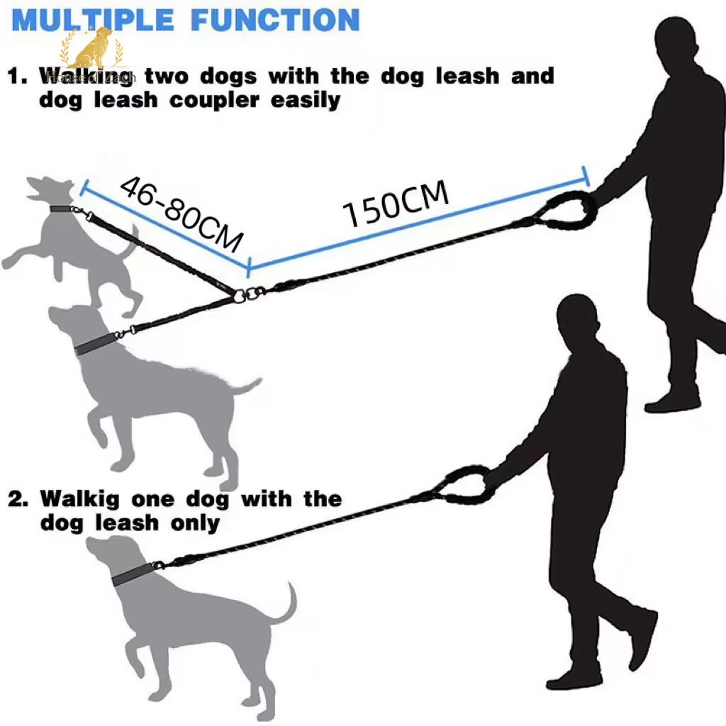House of Zach Dual Dog Leash – 360° Tangle-Free Shock Absorbing Bungee Lead for Medium & Large Dogs