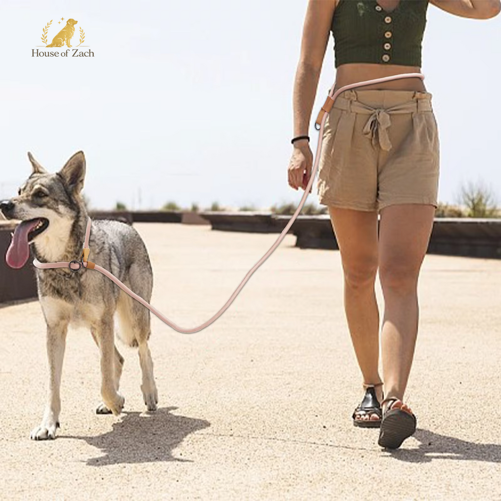 Premium Hands-Free Dog Leash – Adjustable Running & Walking Lead