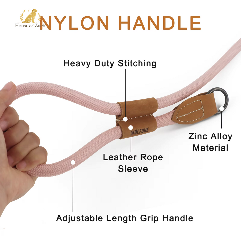 Premium Hands-Free Dog Leash – Adjustable Running & Walking Lead