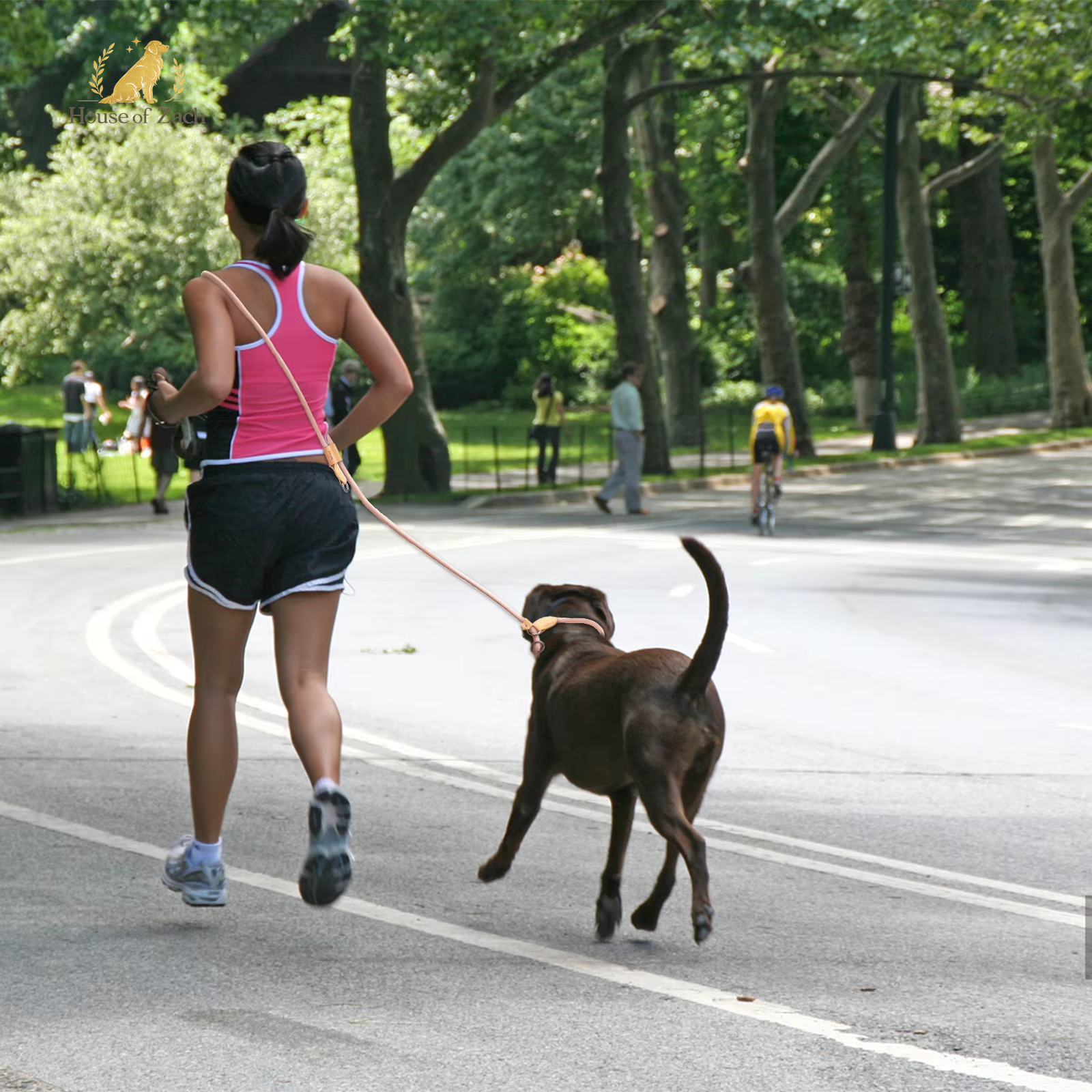 Premium Hands-Free Dog Leash – Adjustable Running & Walking Lead