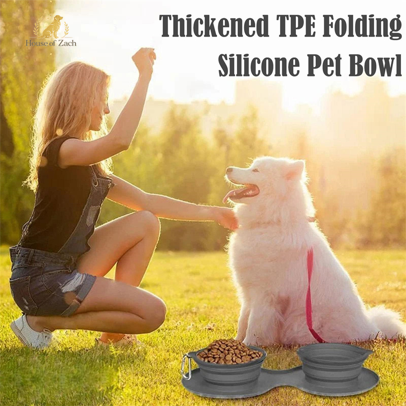 Foldable Double Pet Travel Bowl – Portable Food & Water Feeder for Dogs & Cats
