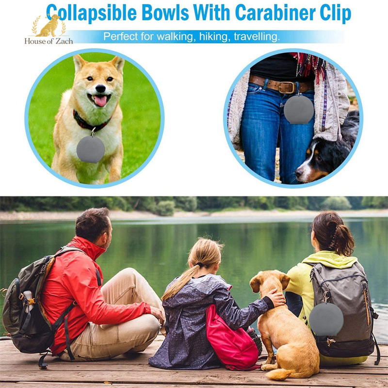 Foldable Double Pet Travel Bowl – Portable Food & Water Feeder for Dogs & Cats