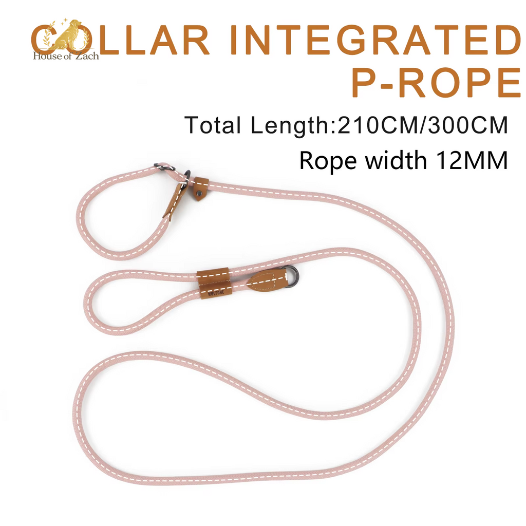 Premium Hands-Free Dog Leash – Adjustable Running & Walking Lead
